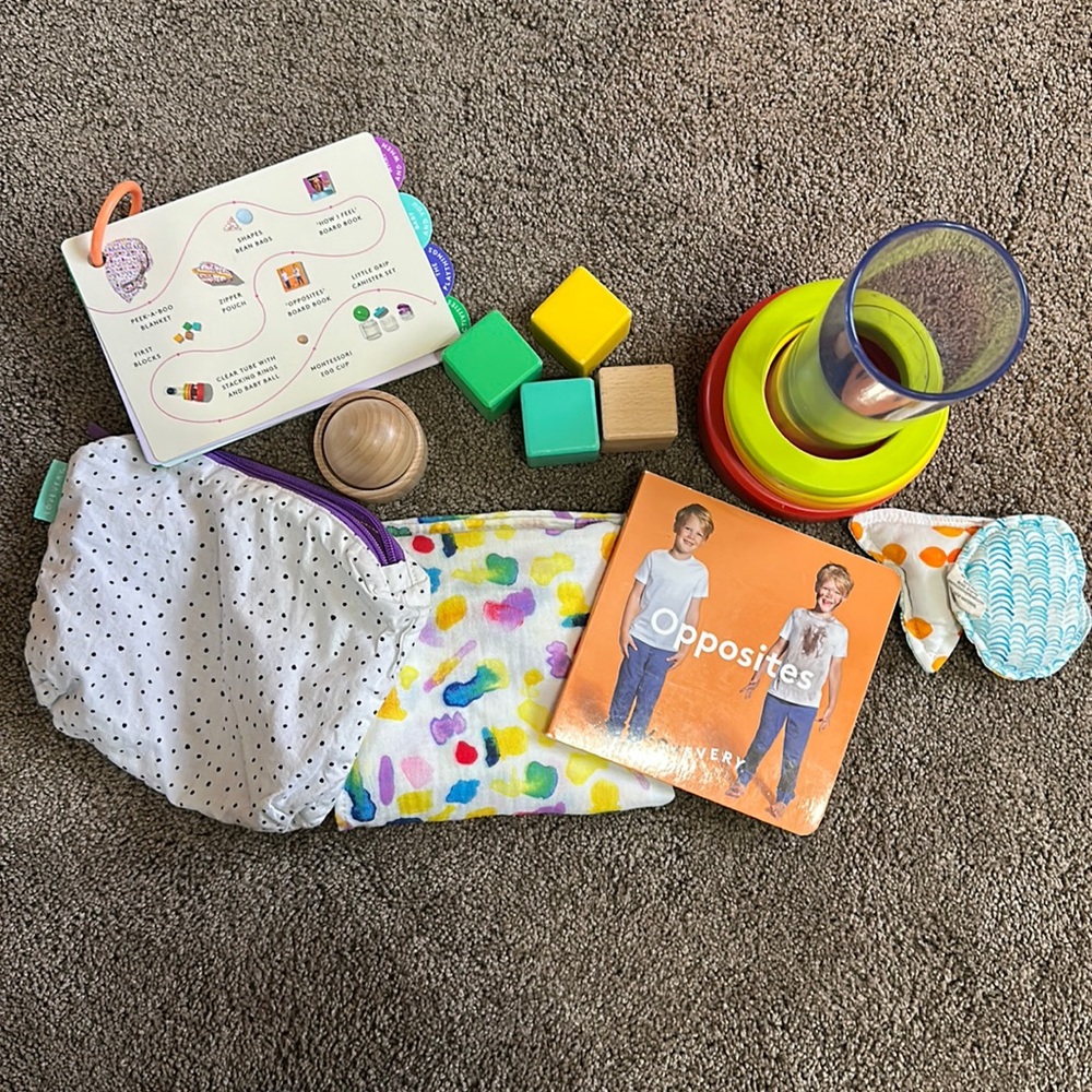 Lovevery play kit.  Months 9 & 10